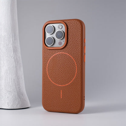 Stefano iPhone Case