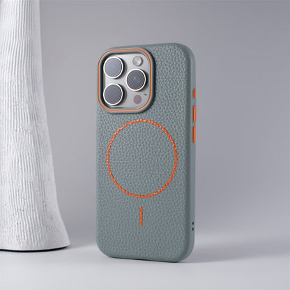 Stefano iPhone Case
