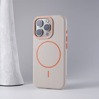 Stefano iPhone Case