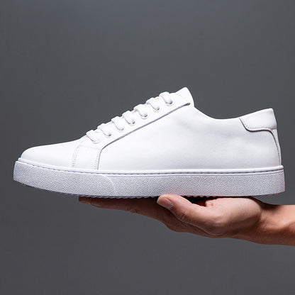 Bellini Leather Sneakers